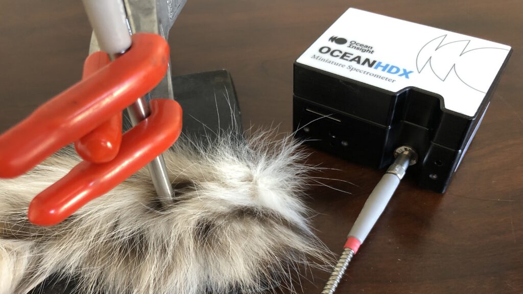 The reflection measurement setup comprised an Ocean Insight spectrometer, broadband light source and reflection probe. A diffuse white standard was the reference.