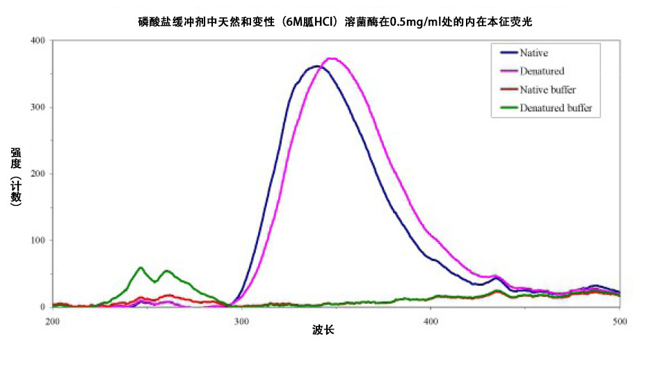天然和变性的溶菌酶溶液和缓冲剂测量的荧光光谱