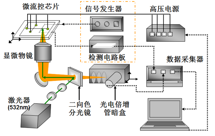 样品组分检测应用